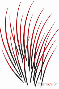 Gans schacht - 25-30 cm - zwart-rood